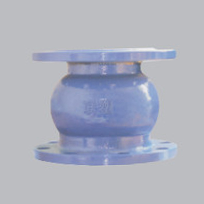 Check Valve