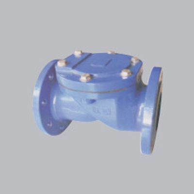 Check Valve