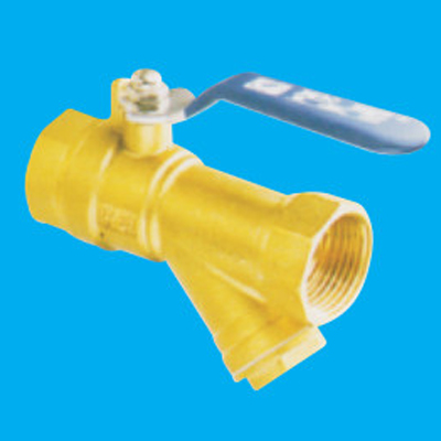 Valve Strainer